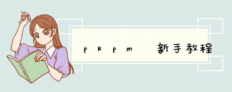 pkpm 新手教程